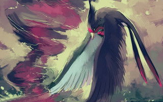 Bird red beak long wings - a red beak free wallpaper for desktop