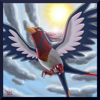 Bird flying clouds sun sky - free bird wallpaper for tablet