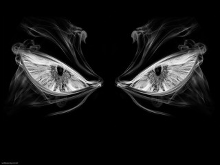 Eyes smoke black background white - symmetrical eye free wallpaper
