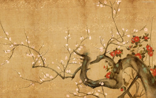 Tree flowers bird branch red 3 - the branch of a tree free wallpaper