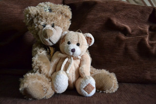 Teddy bears couch brown blanket - two teddy free wallpaper for desktop
