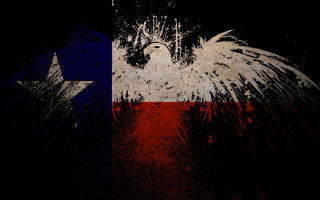 Bird texas flag star background - rtx free wallpaper