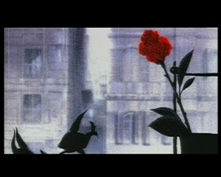 Red rose vase window bird - brassaï free wallpaper for desktop