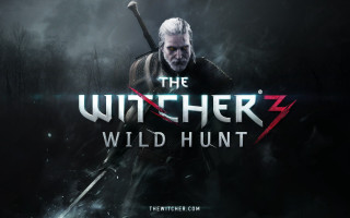 Witch3 wildhunt man sword darkforest - wild free wallpaper for desktop