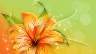 Bright orange flower green leaves - orange flower free wallpaper