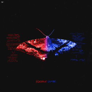 Butterfly blue red wing back - water free wallpaper for tablet