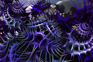 Strange purple black objects cloudy - image of a bunch free wallpaper