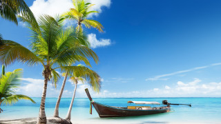 Boat docked tropical beach palm - clear blue water free wallpaper