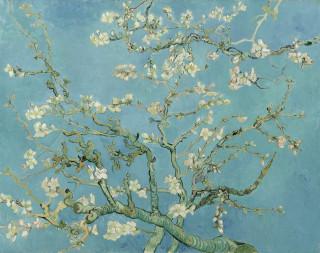 Tree white flowers blue background 2 - blanche hoschedé monet free wallpaper