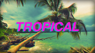 Tropical palm tree retro ocean - tropical free wallpaper for desktop