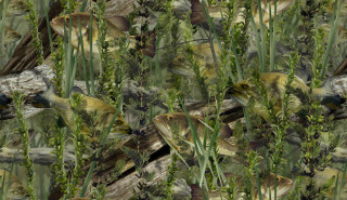 Bird sitting branch grass flowers - dead free wallpaper for desktop