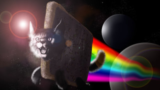 Cat rock rainbow light background 2 - ultra realistic digital art free wallpaper