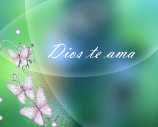 Green background pink butterflies dios - tachisme free wallpaper
