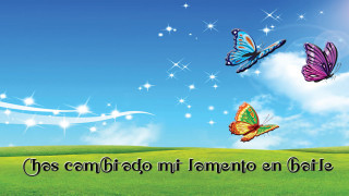 Field butterflies sky message espanol - ilm free wallpaper