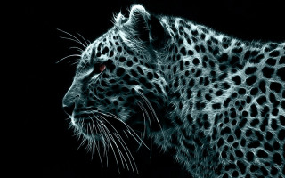 Leopard face black white red 2 - a red eye free wallpaper for desktop