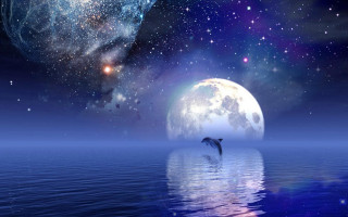 Dolphin jumping water full moon 2 - the water in front free wallpaper for desktop