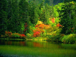 Lake trees forest mountain distance - choi buk free wallpaper