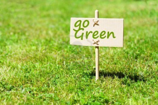 Go green lawn grass background - grass free wallpaper