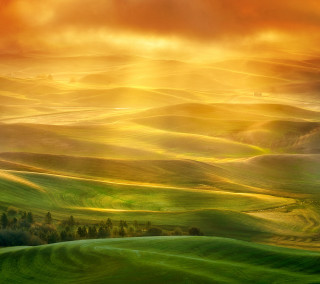 Green field trees clouds sunset 4 - free landscape wallpaper for tablet