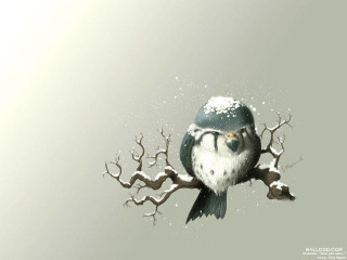 Bird glasses branch snow snowflakes - gray background free wallpaper