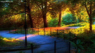 Park path trees fence sunset - free autumn wallpaper for desktop