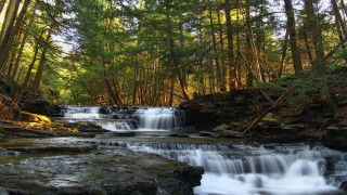 Waterfall forest trees rocks water - a waterfall in a forest free wallpaper