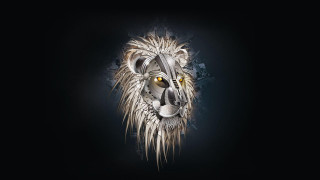 Lion head black background white 2 - yellow eye free wallpaper
