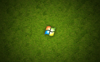 Computer logo green grass flowers - the center of the image free wallpaper
