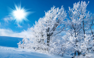 Sunny day mountains snow trees 2 - a bright sun free wallpaper