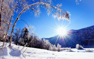 Sunny mountains snowy forest bright - the mountain free wallpaper