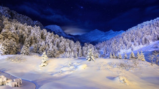 Snowy mountain trees night stars - star free wallpaper