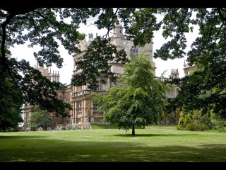 Large building tower tree grassy - a grassy area in front free wallpaper