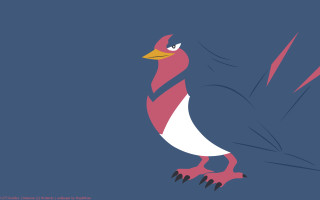 Bird red white beak pokemon - tail free wallpaper