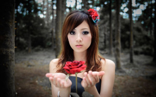 Woman holding rose forest trees - chen lu free wallpaper