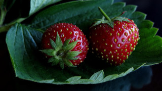Strawberries leaf table top black - claire dalby free wallpaper for desktop