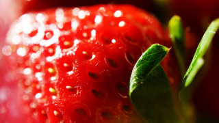 Strawberry water droplets macro leaf - the center free wallpaper for desktop