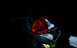 Woman hand red rose chain - a ring free wallpaper for desktop