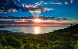 Sunset water trees bushes city - crepuscular free wallpaper