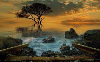 Tree waterboat sunset surreal matte - surrealism free wallpaper
