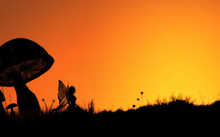 Mushroom butterfly silhouette dawn froud - brian and wendy froud free wallpaper