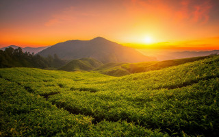 Sunset green hills mountains valley - sunrise free wallpaper for desktop