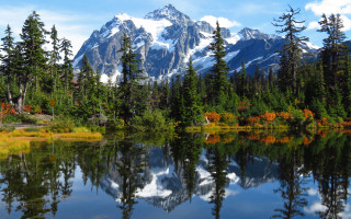 Mountain lake reflection trees autumn - beautiful landscape free wallpaper