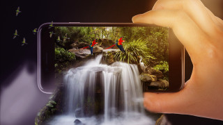Person holding phone waterfall birds - bird free wallpaper for desktop