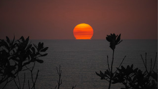 Sunset ocean orange sky trees - a sunset over the ocean free wallpaper