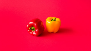 Two peppers pink background red - neofauvism free wallpaper for desktop