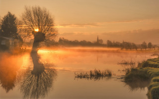 Lake tree sunset house cityscape - a tree in the middle of it free wallpaper