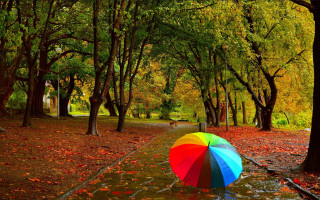 Colorful umbrella autumn park leaves - the path free wallpaper