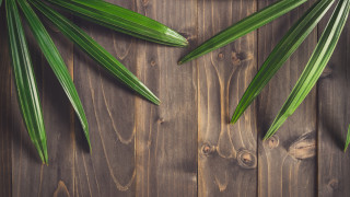 Wooden table green leaves clock - a wooden background free wallpaper