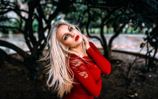 Red dress park christmas blurry - a picture in a park free wallpaper