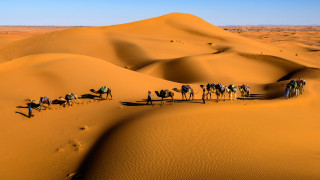 Sahara desert camel riders morocco - egyptian art free wallpaper